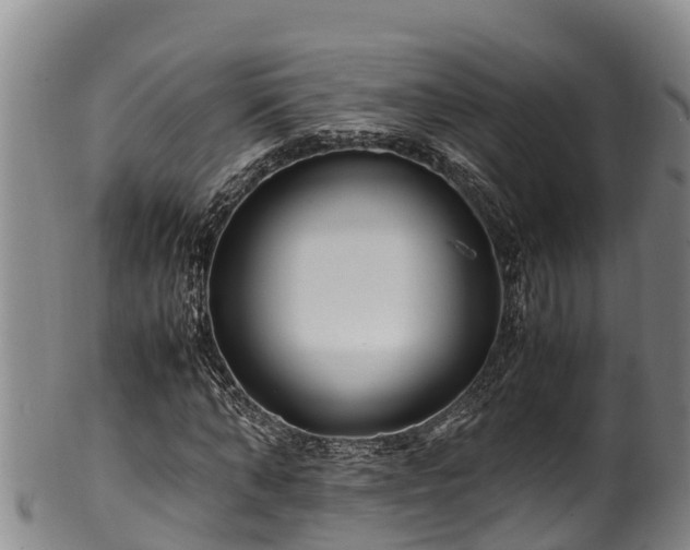 X0000100880870200806271135