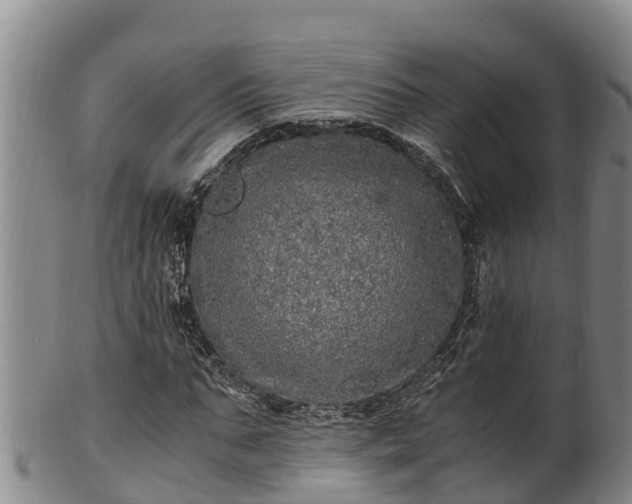 X0000100880871200806271135