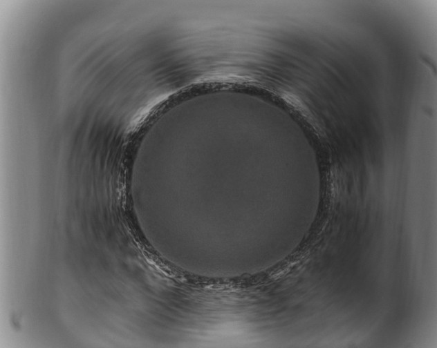 X0000100880872200806271135