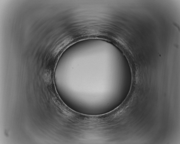 X0000100880873200806271135