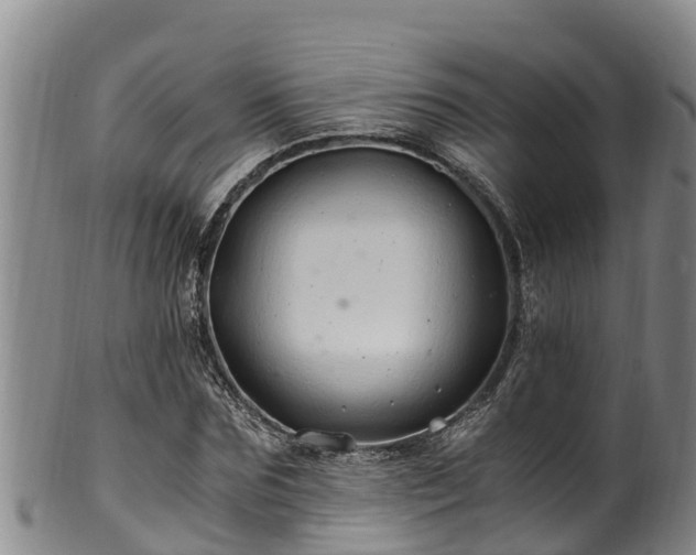 X0000100880875200806271135