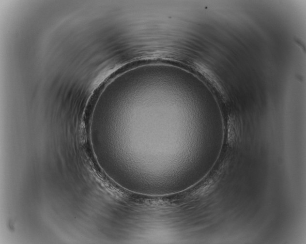 X0000100880876200806271135