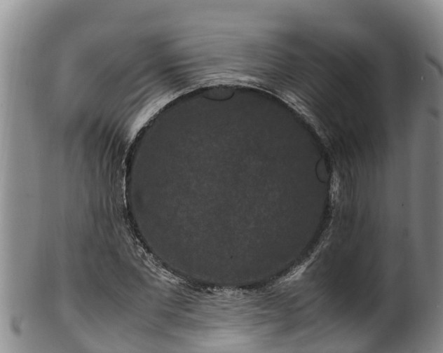 X0000100880877200806271135