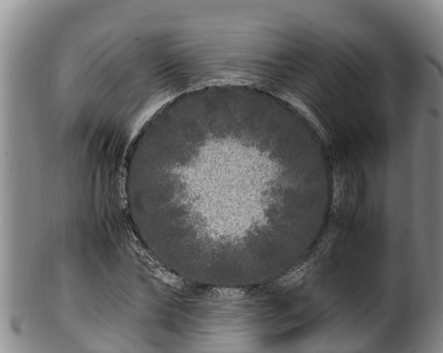 X0000100880878200806271135