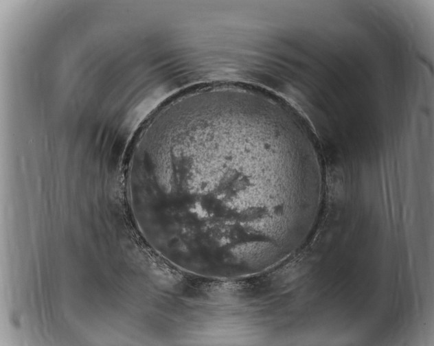 X0000100880879200806271135