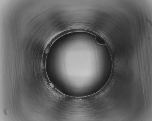 X0000100880880200806271135