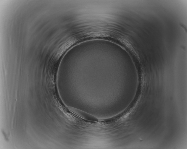 X0000100880881200806271135