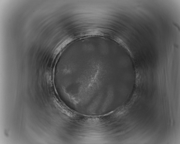 X0000100880882200806271135