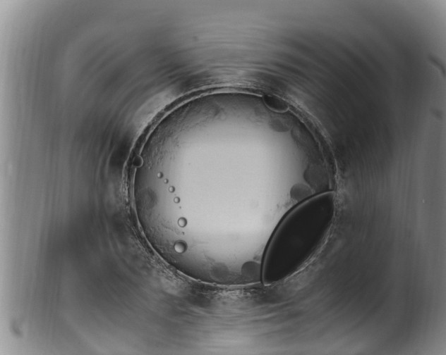 X0000100880883200806271135