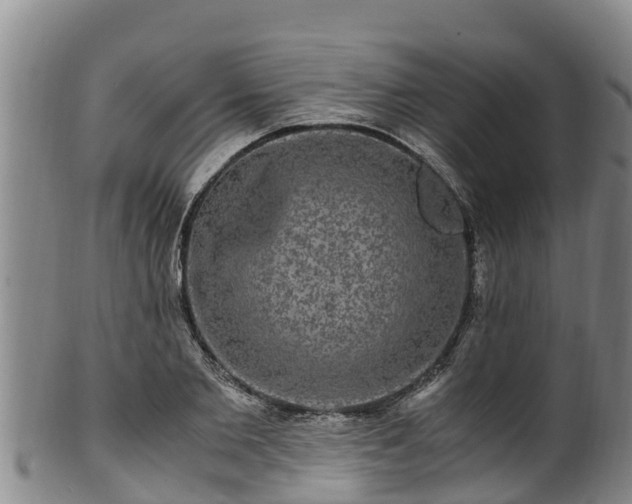 X0000100880885200806271135