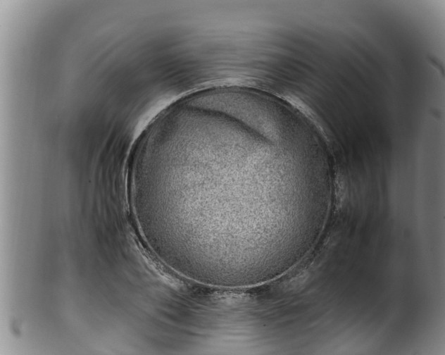 X0000100880886200806271135