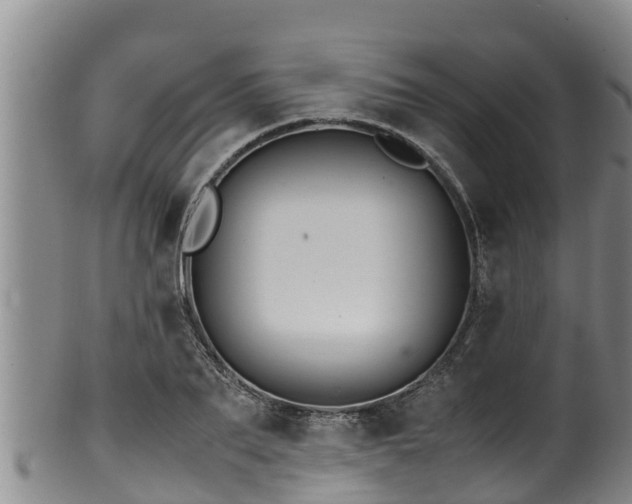 X0000100880887200806271135