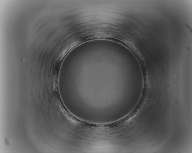 X0000100880889200806271134