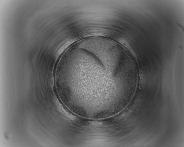 X0000100880890200806271134