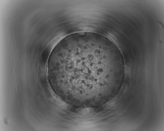 X0000100880891200806271134