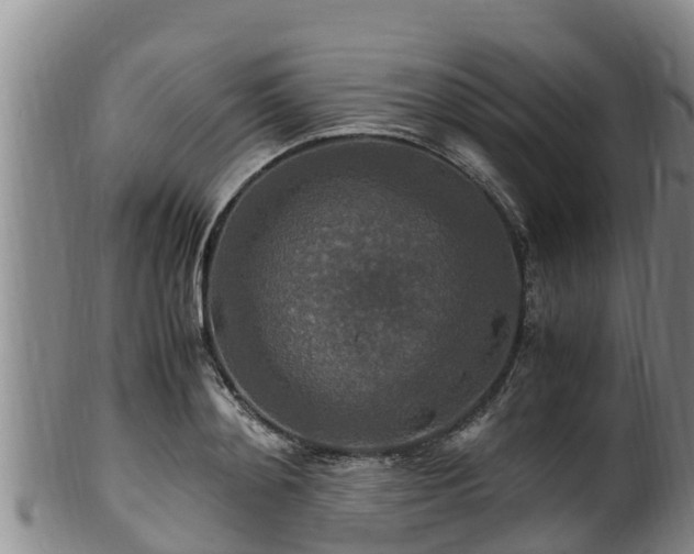 X0000100880892200806271134