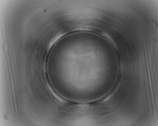 X0000100880893200806271134