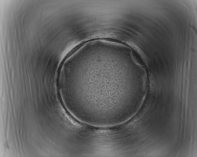 X0000100880894200806271134