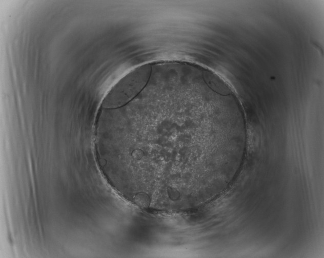 X0000100880895200806271134