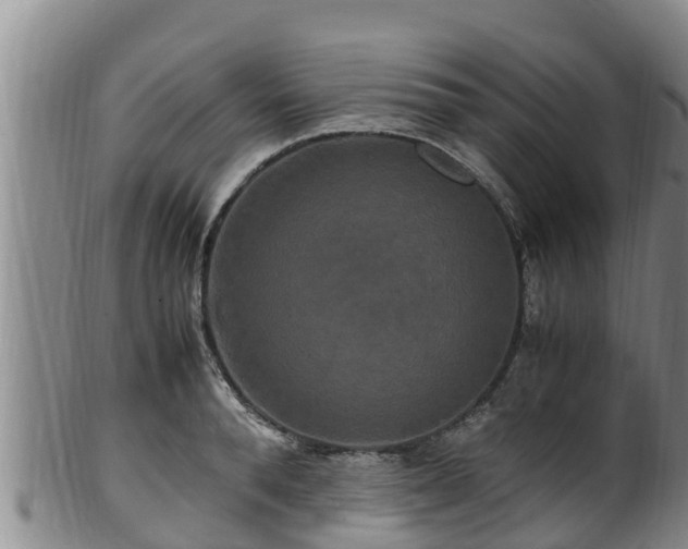 X0000100880896200806271134