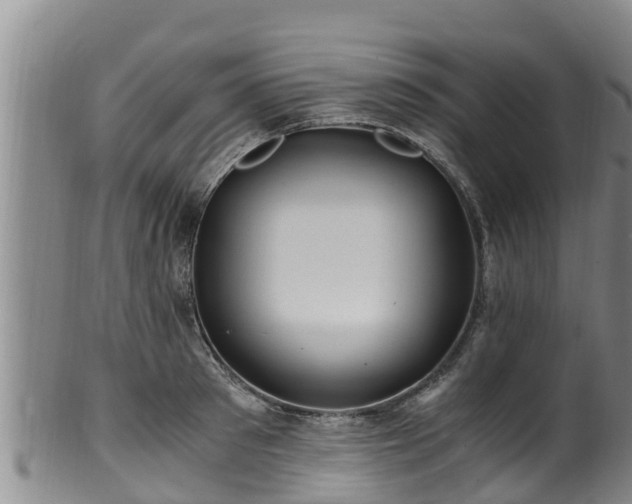 X0000100880897200806271134