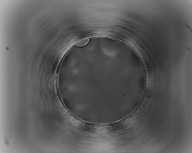 X0000100880899200806271134