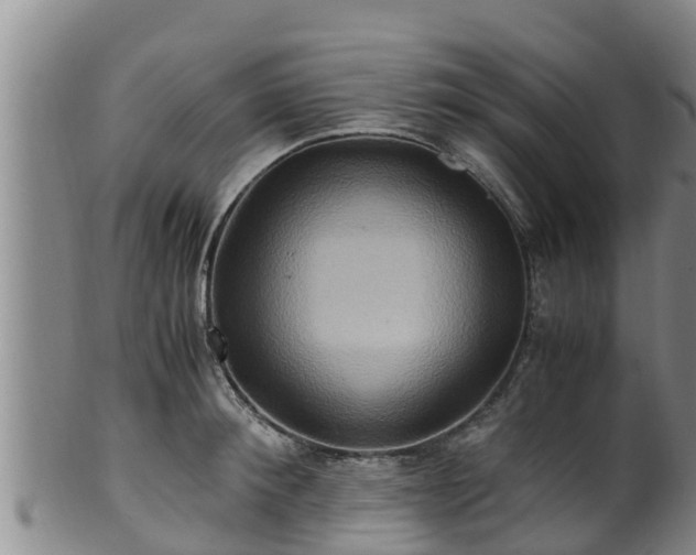 X0000100880900200806271134