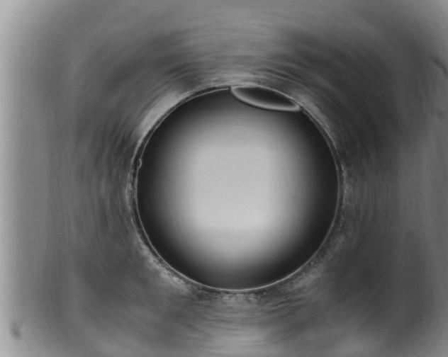 X0000100880901200806271134