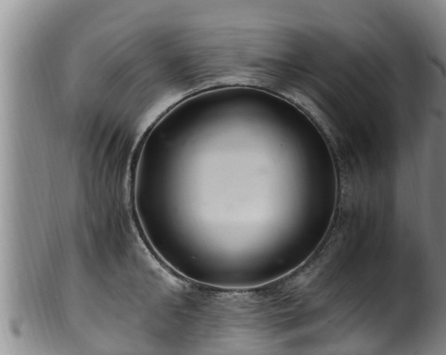 X0000100880902200806271134