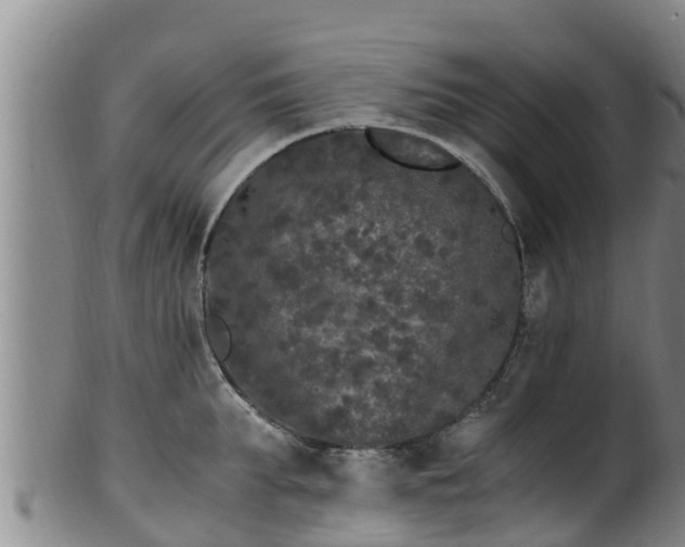 X0000100880903200806271134