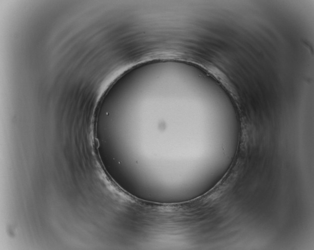 X0000100880904200806271134