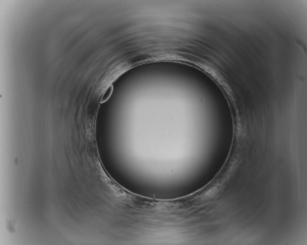 X0000100880905200806271134