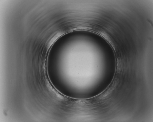 X0000100880906200806271134