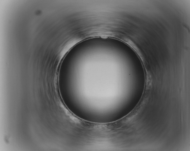 X0000100880909200806271134