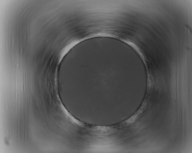 X0000100880910200806271134