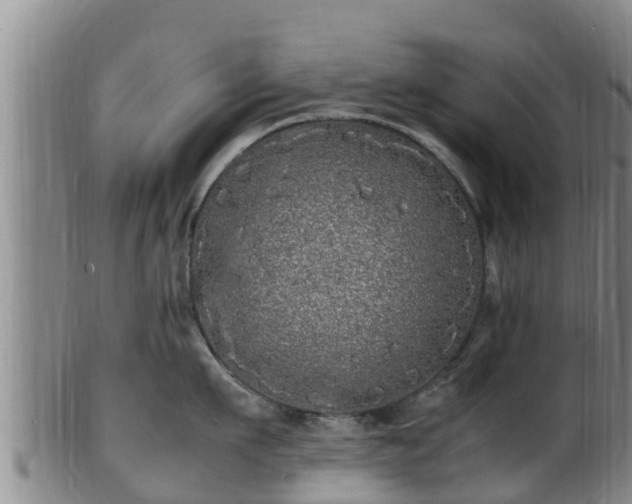 X0000100880911200806271134