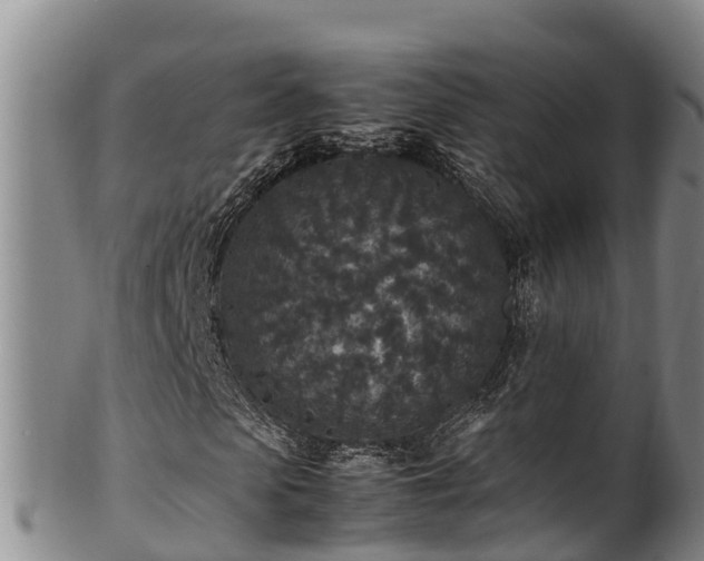 X0000100880913200806271133