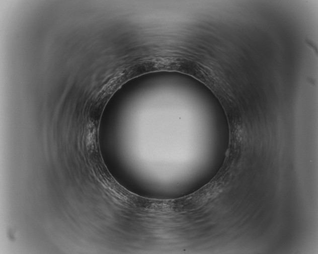 X0000100880914200806271133