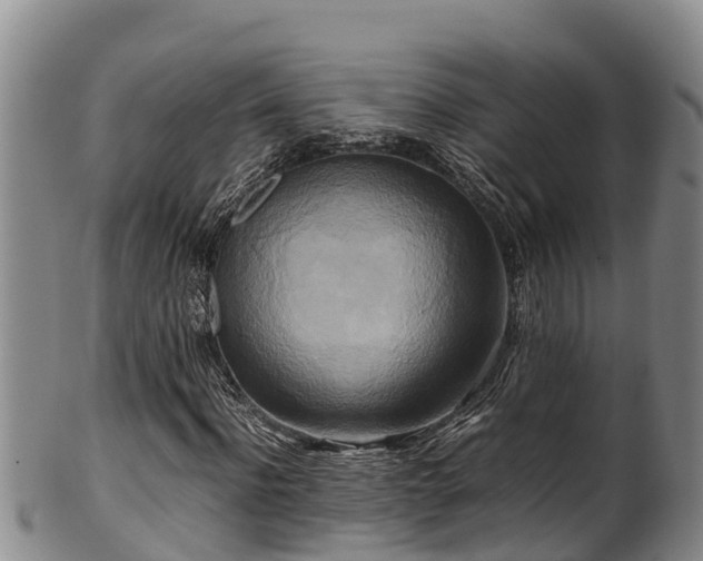 X0000100880916200806271133