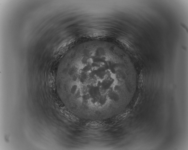 X0000100880917200806271134