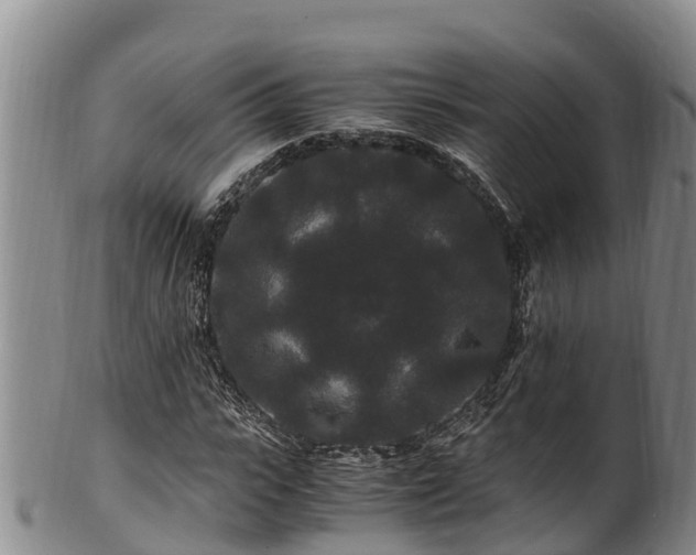 X0000100880919200806271134