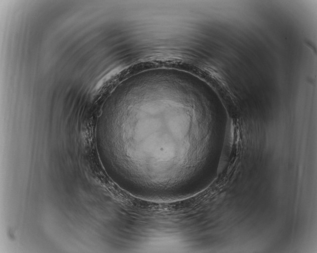 X0000100880920200806271134