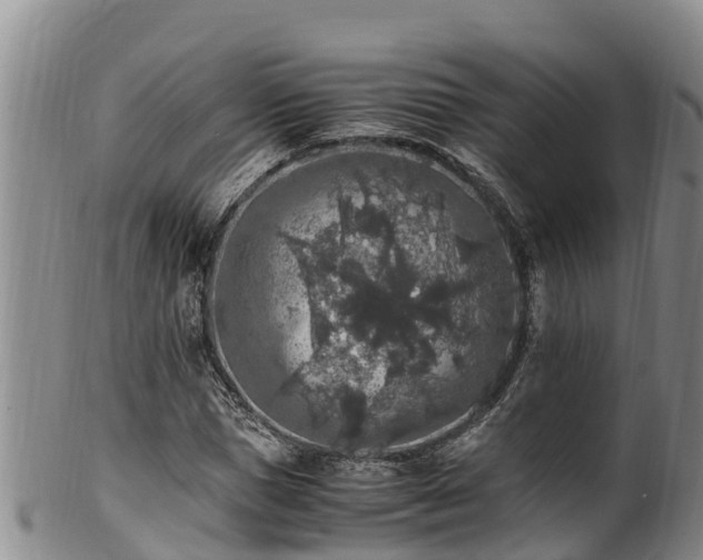 X0000100880921200806271134