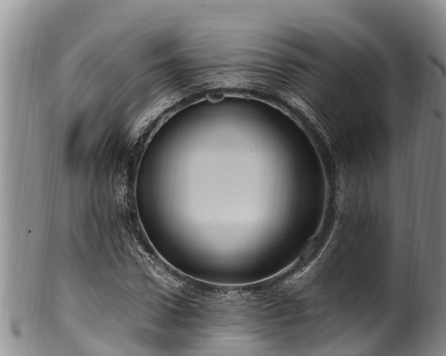 X0000100880922200806271134