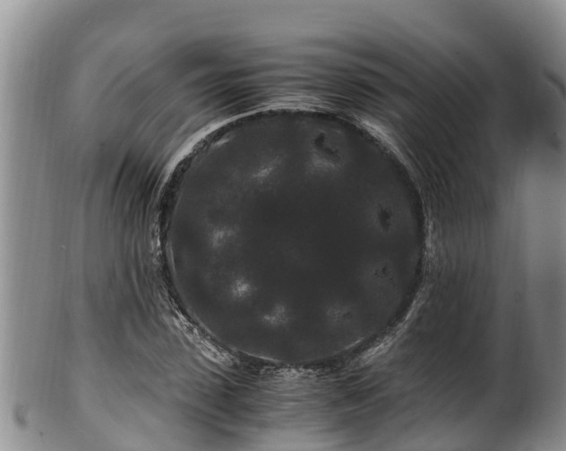 X0000100880923200806271134