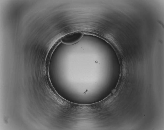 X0000100880924200806271134