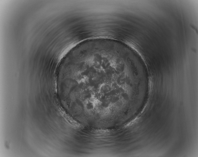 X0000100880925200806271134