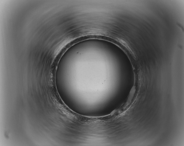 X0000100880926200806271134