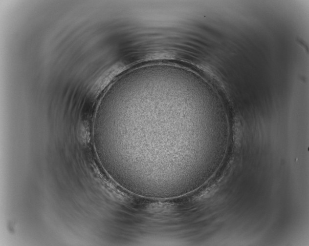 X0000100880929200806271134