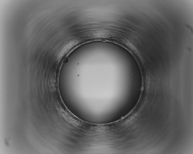 X0000100880930200806271134